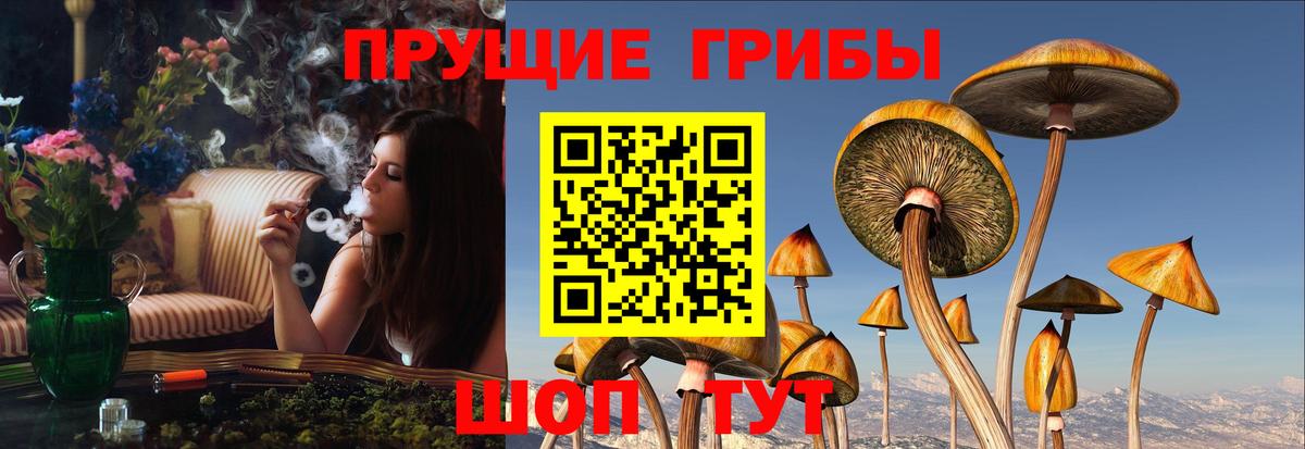 Галлюциногенные грибы мухоморы Котовск