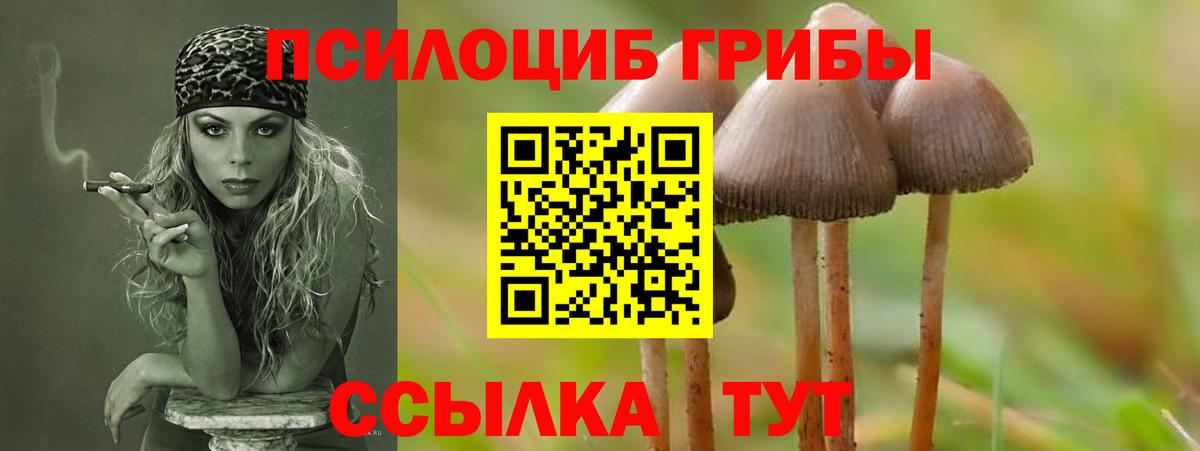 Псилоцибиновые грибы ЛСД  Галлюциногенные грибы Psilocybine cubensis  Вход с VPN  Котовск 