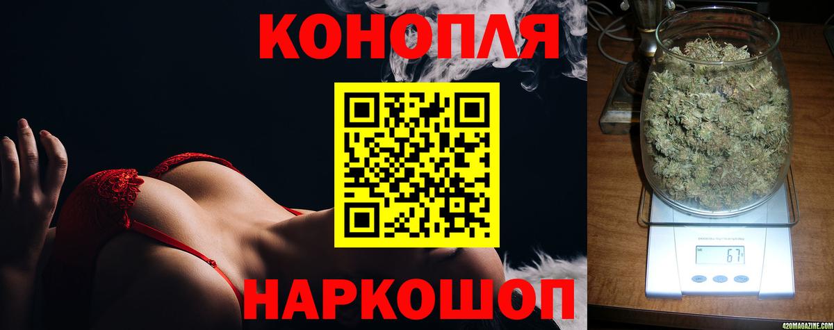 МАРИХУАНА сатива Котовск